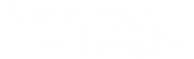 BluePearl